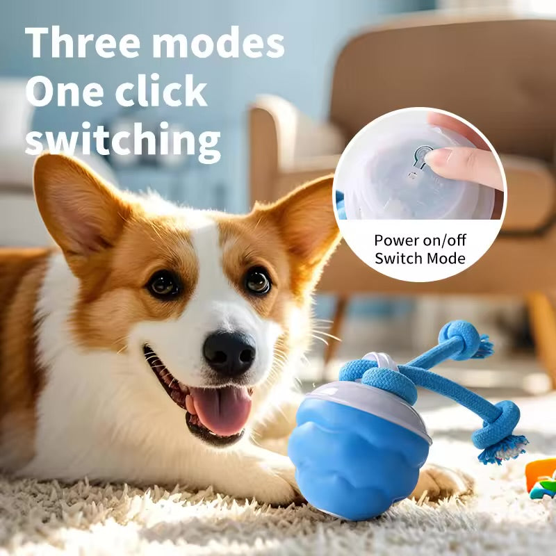 Interactive Electric Dog Ball – Rechargeable, Bite-Resistant Rolling Toy for Dogs