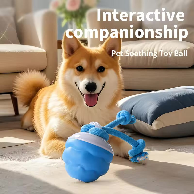 Interactive Electric Dog Ball – Rechargeable, Bite-Resistant Rolling Toy for Dogs