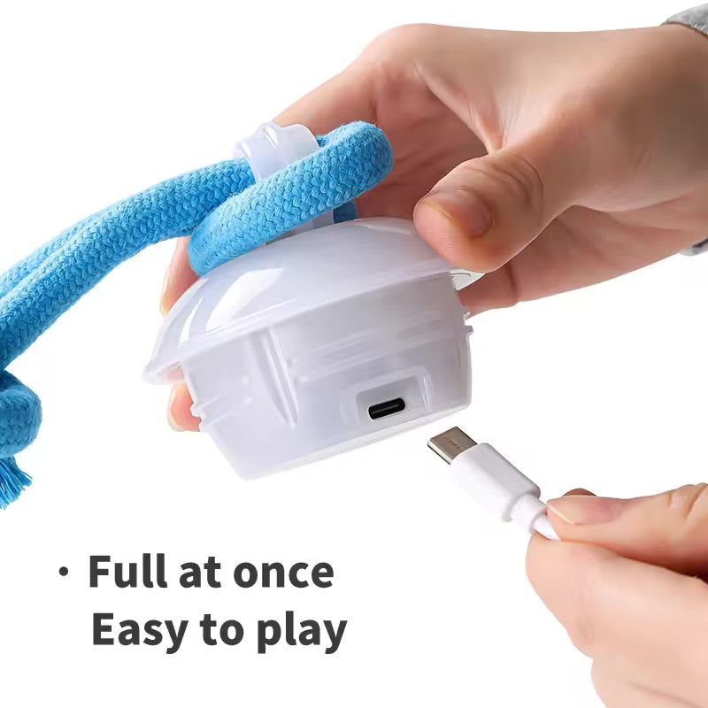 Interactive Electric Dog Ball – Rechargeable, Bite-Resistant Rolling Toy for Dogs